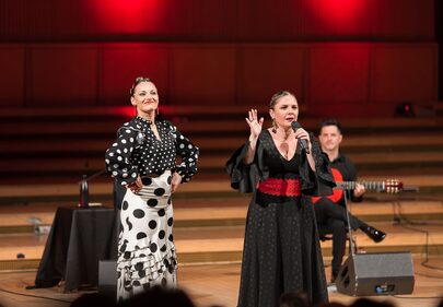 Flamenco Sala Radio Bucuresti 152 Copie