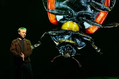 Stadssafari Theatercollege bug