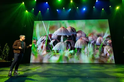 Stadssafari Theatercollege 2 WEB