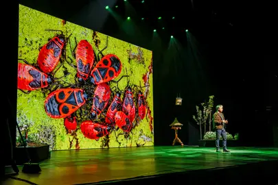 Stadssafari Theatercollege liggend WEB