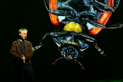 Stadssafari Theatercollege bug