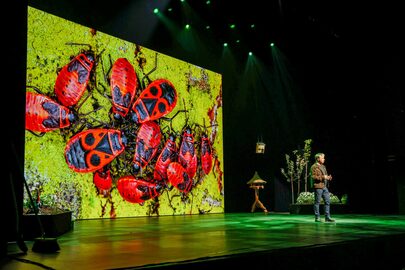 Stadssafari Theatercollege liggend WEB