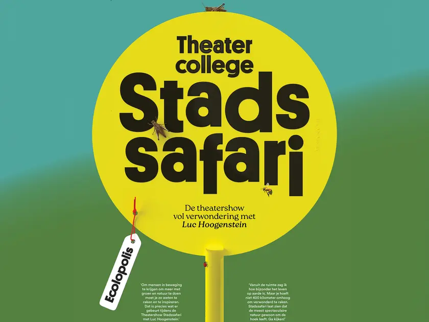 Poster Stadssafari vierkant