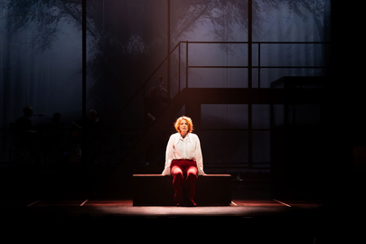 cCreativeFlow_Next_to_Normal_Scenefotos 1