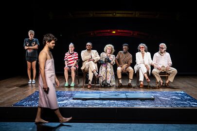 Meeuw Het Nationale Theater foto Bart Grietens 1_lowres