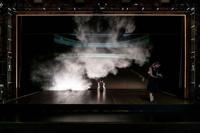 Meeuw Het Nationale Theater foto Bart Grietens 5_lowres
