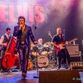 The Elvis Concert november 2026 foto 1