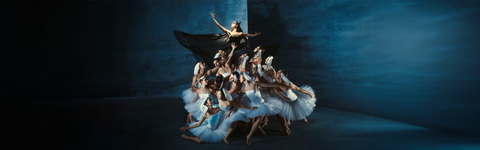 Swan Lake ©IntrodansPieterHenket website