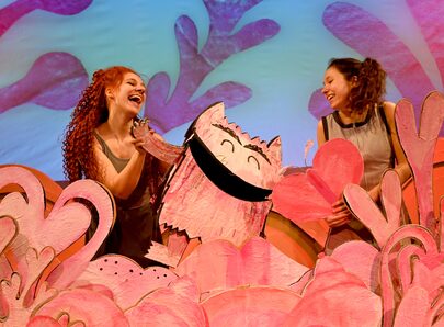 Theater Stof Het kleurenmonster Illustratie © Anna Llenas Foto © Patrick Wagenaar 08